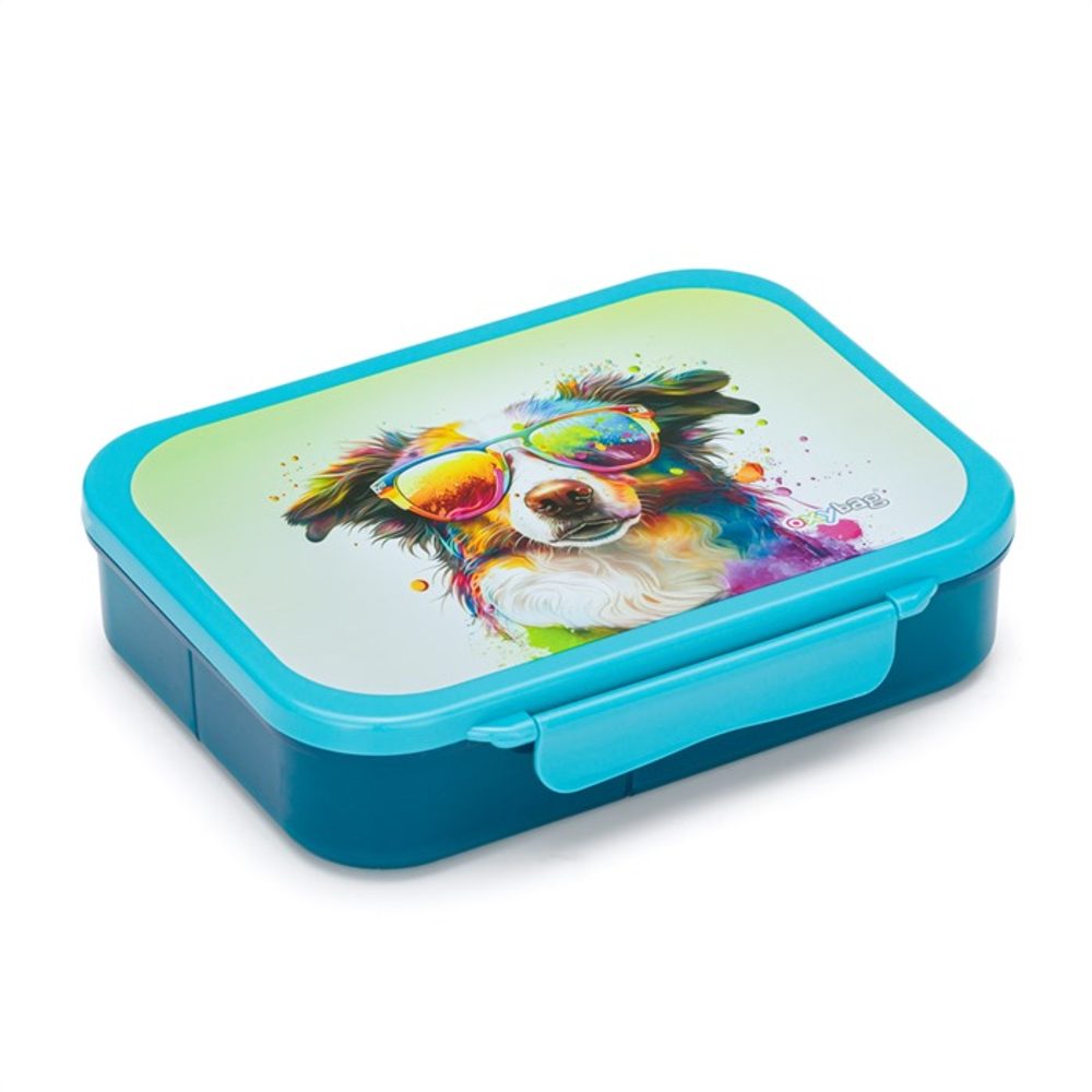 Karton P+P Box na svačinu s přihrádkami Pes
