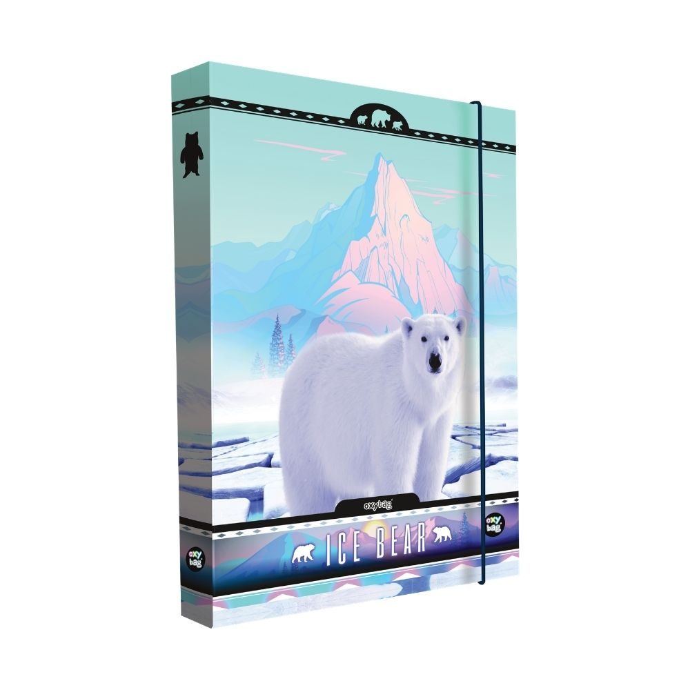 Levně Karton P+P Box na sešity A4 Jumbo Bear KT8-72721