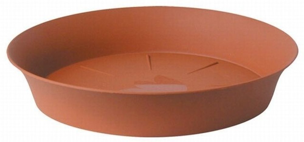 Levně podmiska d24cm TER TULIPÁN