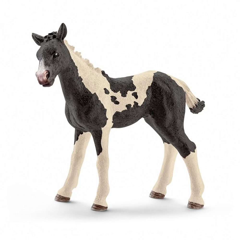 Levně SCHLEICH Zvířátko - hříbě Pinto