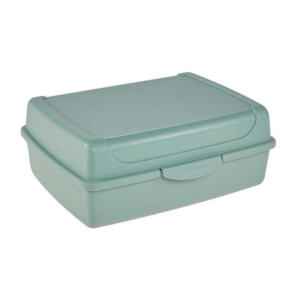 Levně Keeeper SVAČINOVÝ BOX 17X13X7cm SEVERSKÁ ZELENÁ