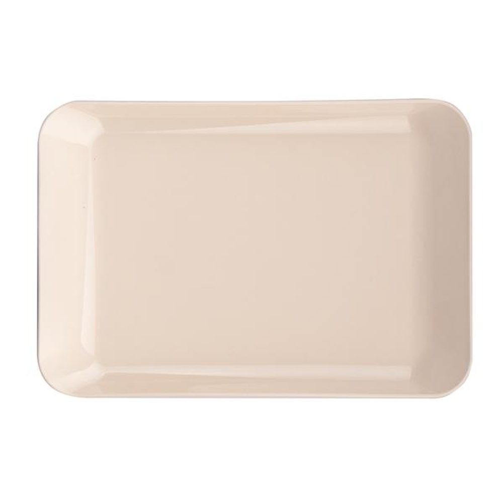 Levně Petra plast PODNOS MALÝ 19 X 13 X 1.5CM, PLAST