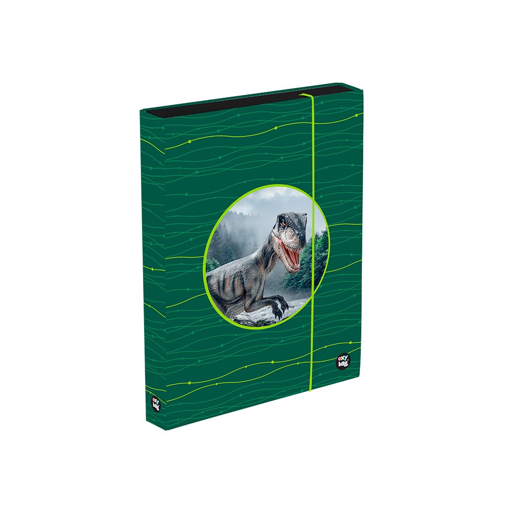 Levně Oxybag Box na sešity A4 Jumbo OXY Sherpy Green