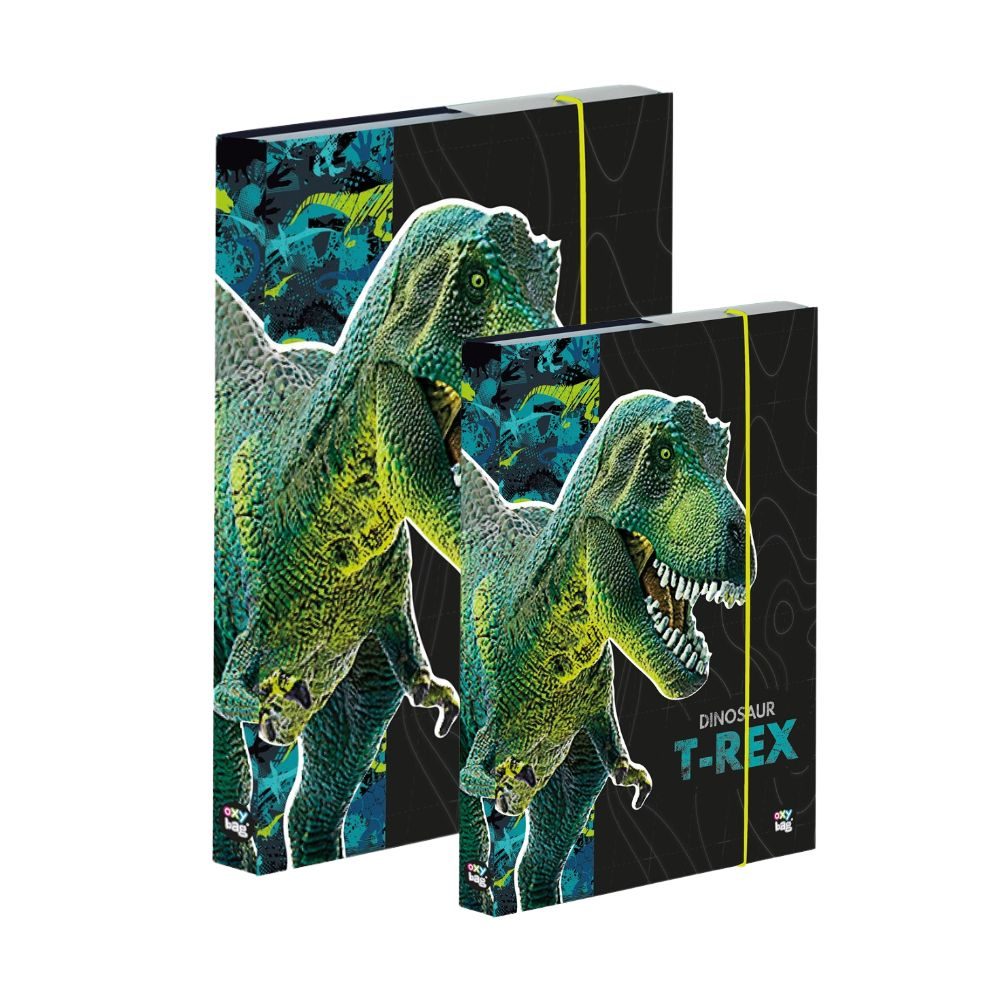 Levně Box A4+A5 Premium Dinosaurus