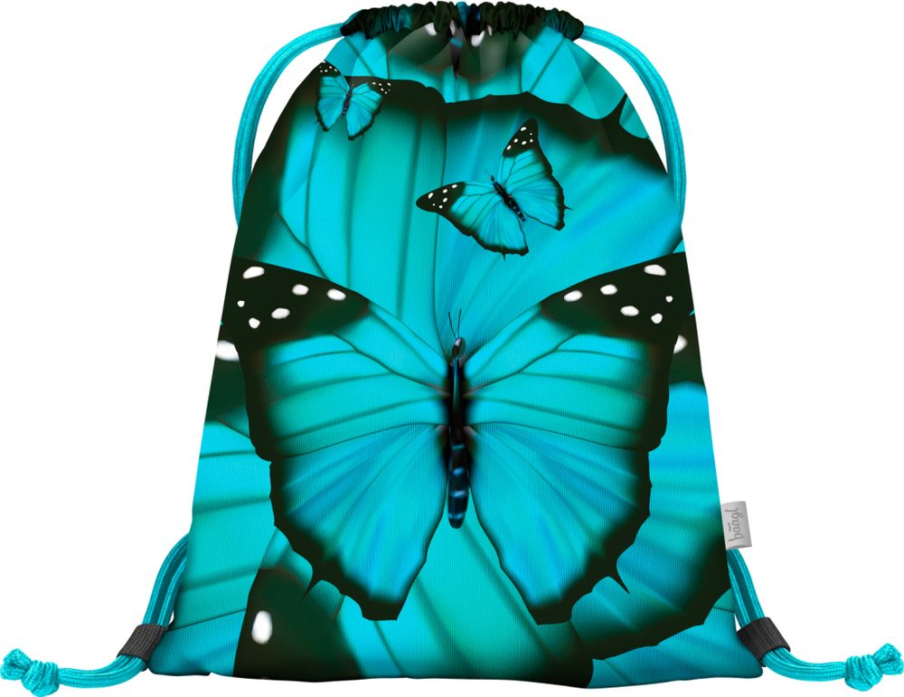 Levně BAAGL Školní sáček na obuv Butterfly