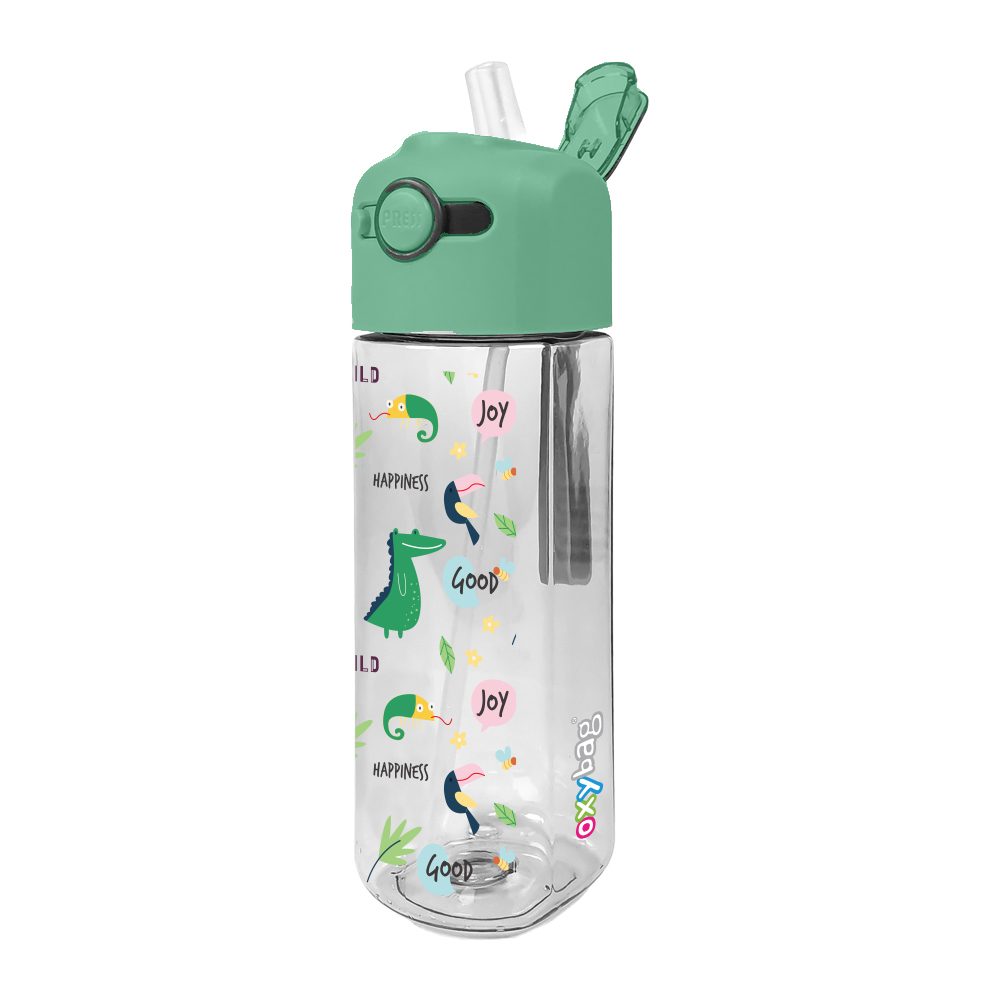 Levně Karton P+P Láhev OXY SMiLE 450 ml Dino