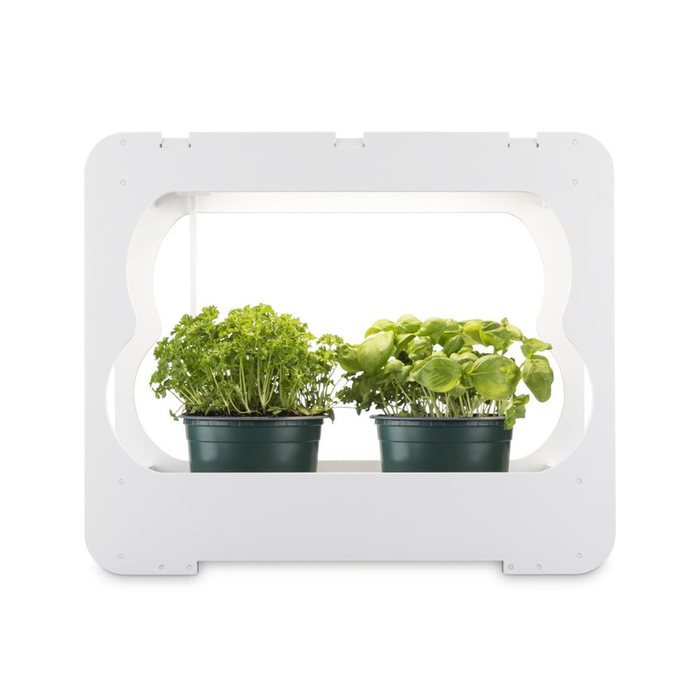 Levně Xavax pěstovací stanice s LED světlem, na bylinky/ rostliny, pro 2-3 nádoby pr. 10 cm, plné spektrum