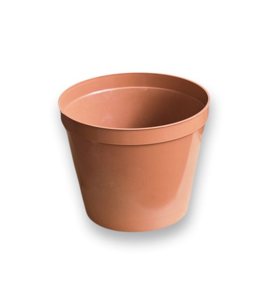 Levně květ. d14cm Standard TER