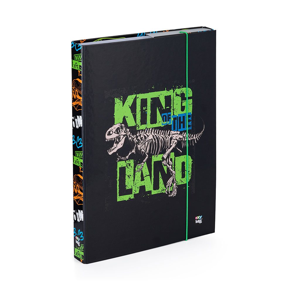 Levně Karton P+P Box na sešity A4 Premium Dinosaurus KT3-75823