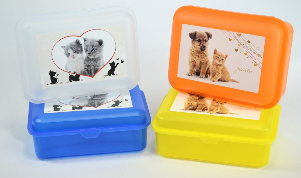 Levně box 1,50l, svačina, MAZLÍČI-friends, 18x13x7cm, plast