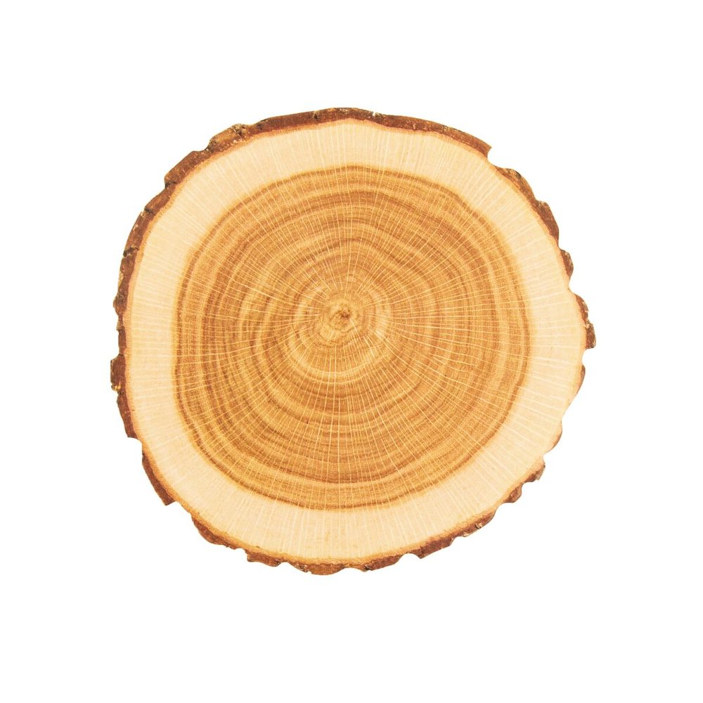 Levně Podtácek WOODEN 10 ks