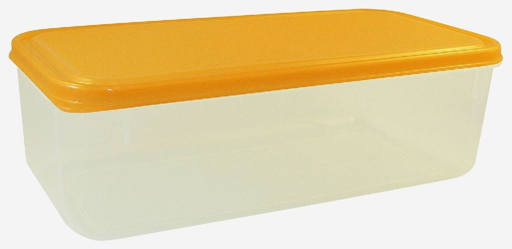 Levně box 1,70l FRESH 25x12x8cm, plast