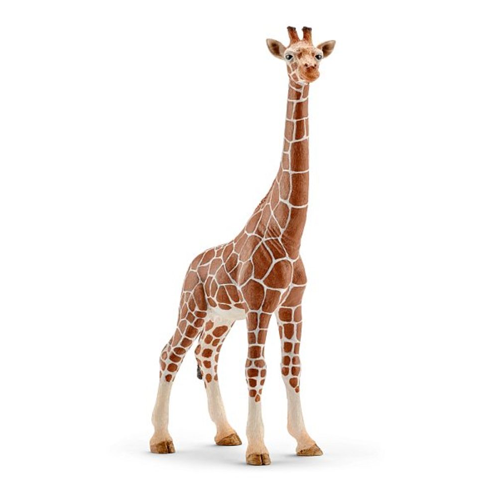 Levně SCHLEICH Zvířátko - samice žirafy