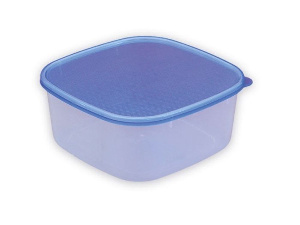 Levně box 3,0l hranatý 23x23x10cm, plast