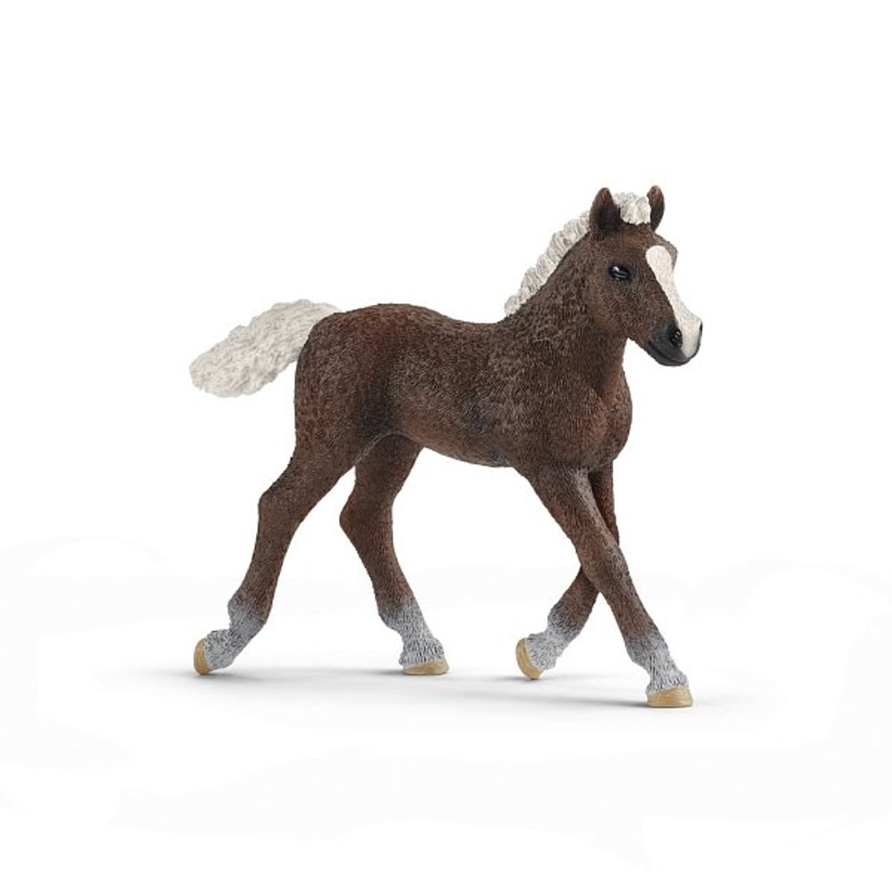 Levně SCHLEICH Zvířátko - hříbě Schwarzwaldské