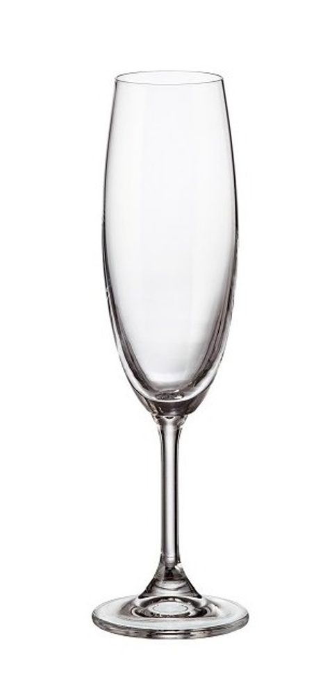 Levně sklen. 220ml, 6ks, KLARA/SYLVIA šamp.flétna