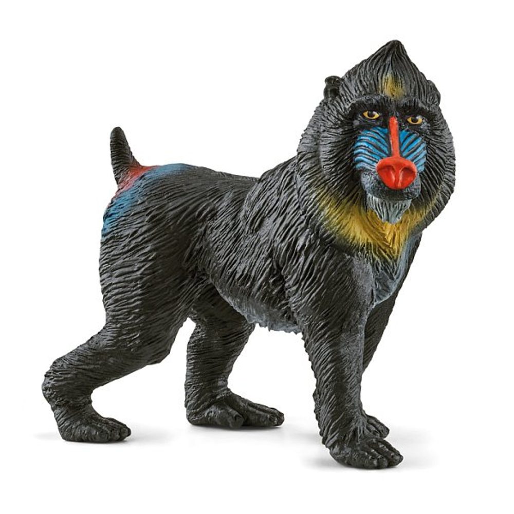 Levně Zvířátko - opice Mandrill