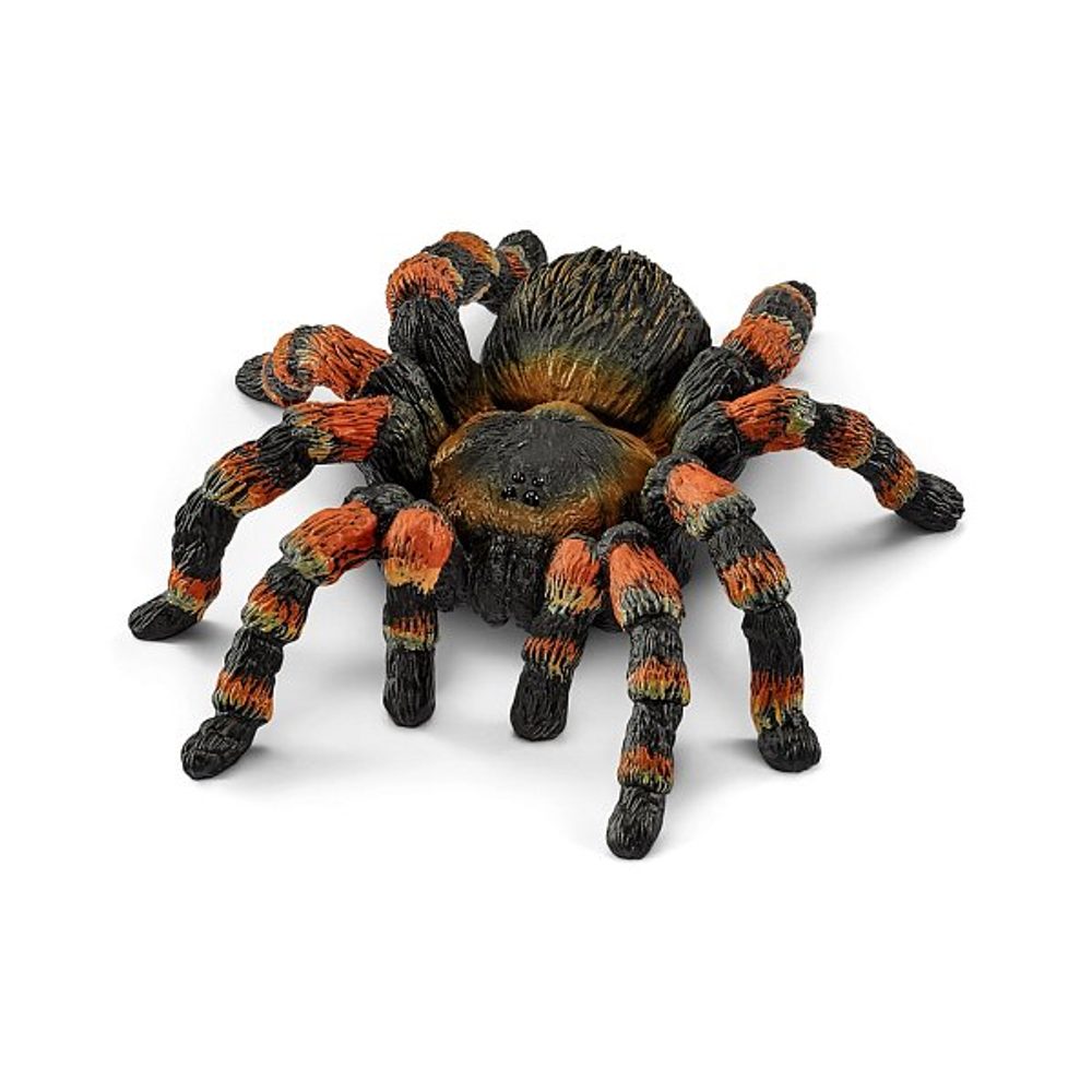 Levně SCHLEICH Zvířátko - Sklípkan