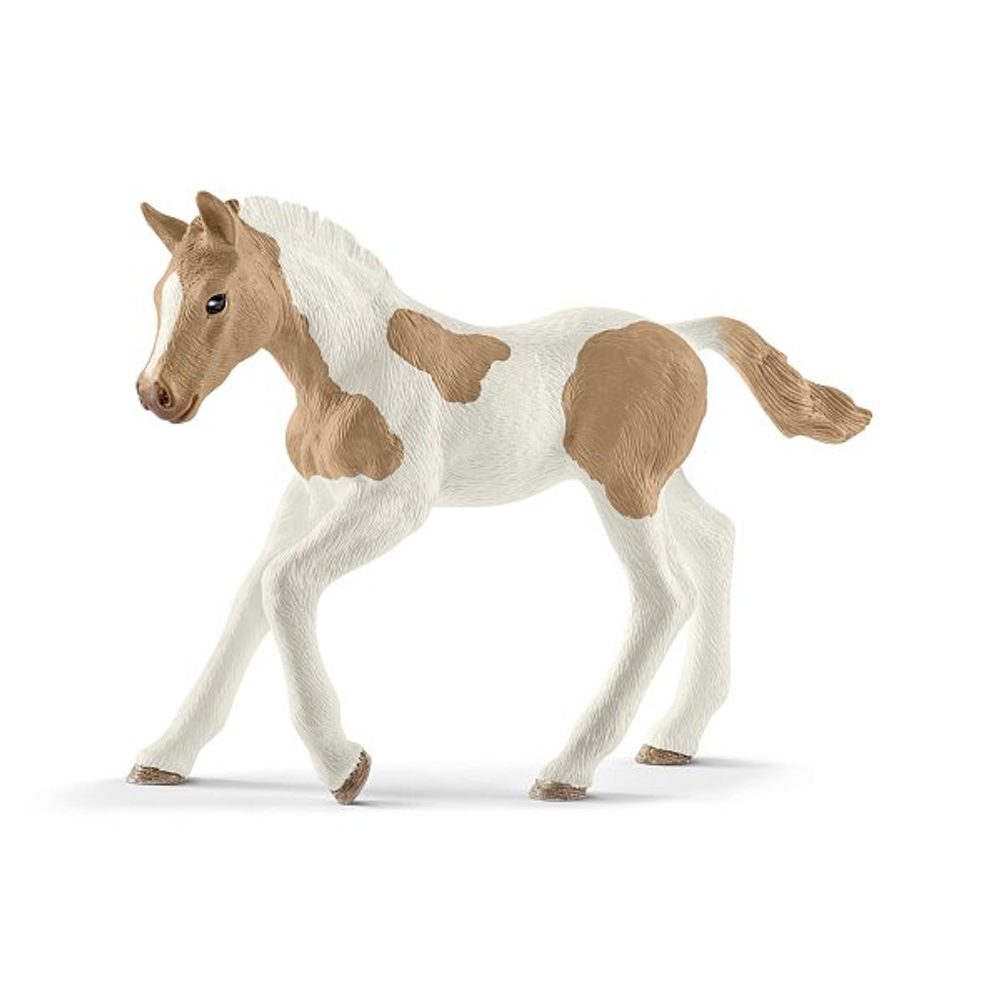 Levně SCHLEICH Zvířátko - Hříbě plemene Paint Horse