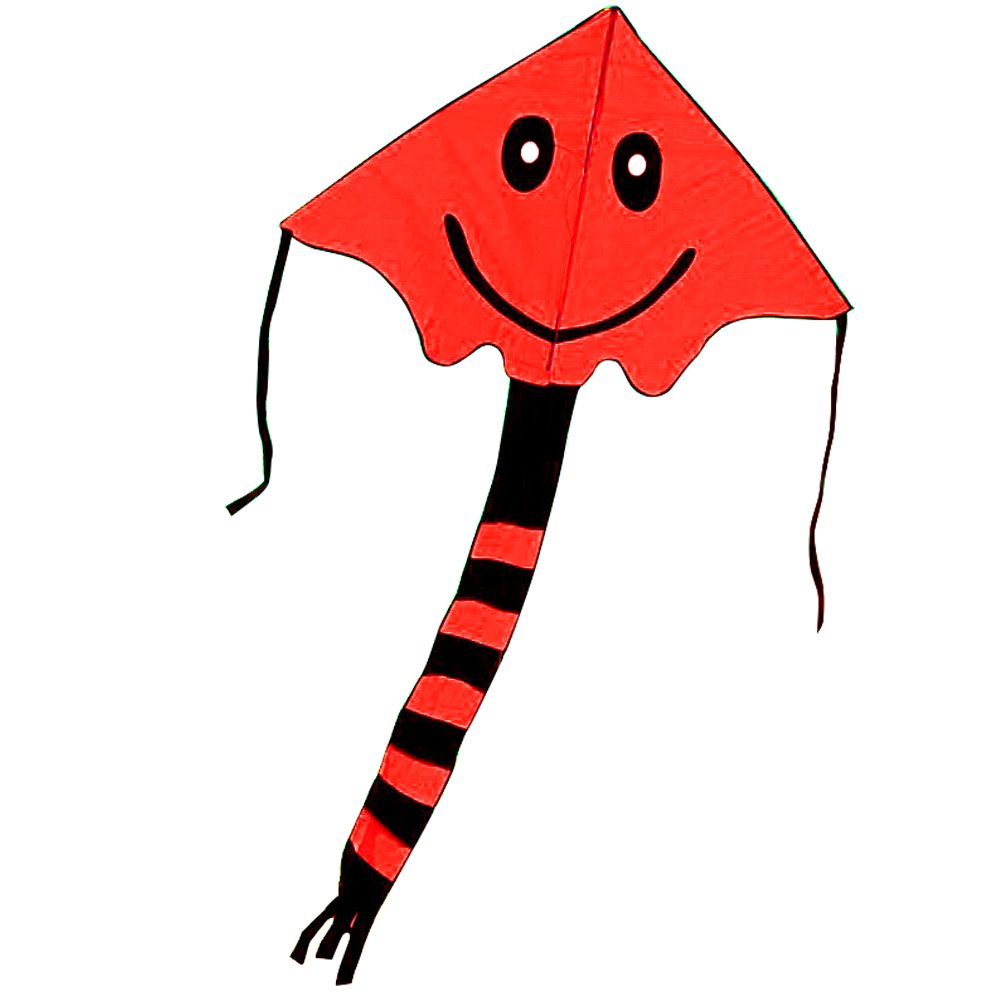 Levně Létající drak - obličej
