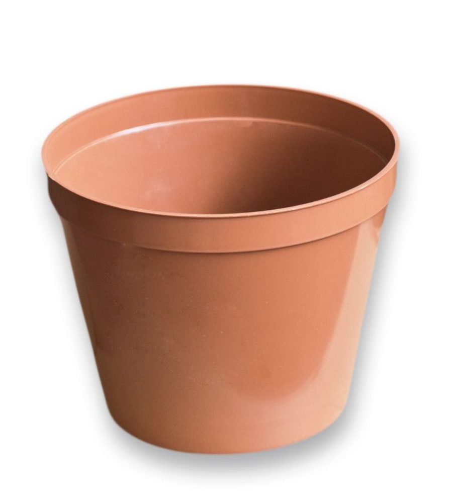 Levně květ. d20cm Standard TER