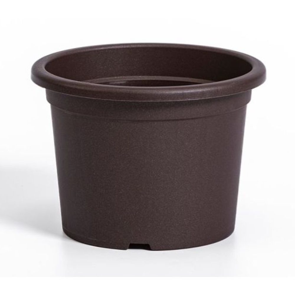 Levně obal d15cm Narcis Čoko