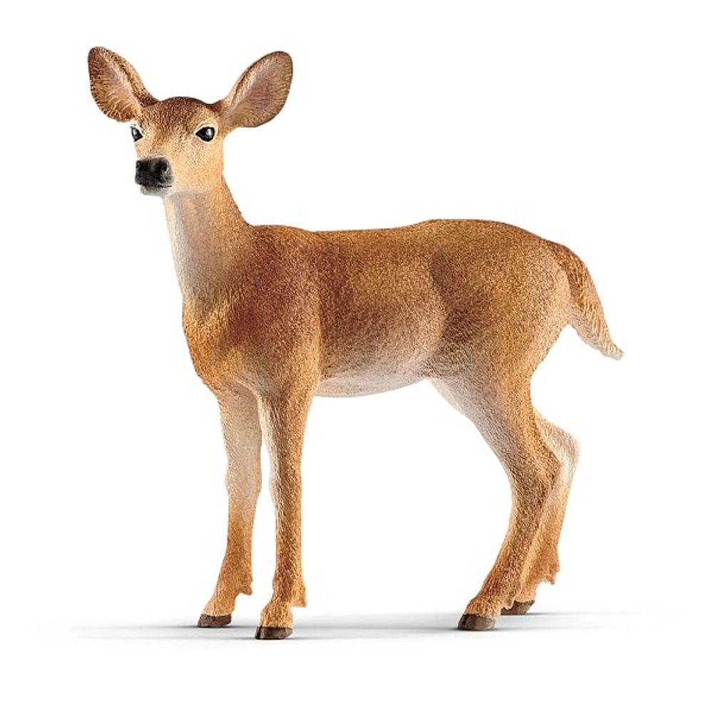 Levně SCHLEICH Zvířátko - Laň jelena běloocasého