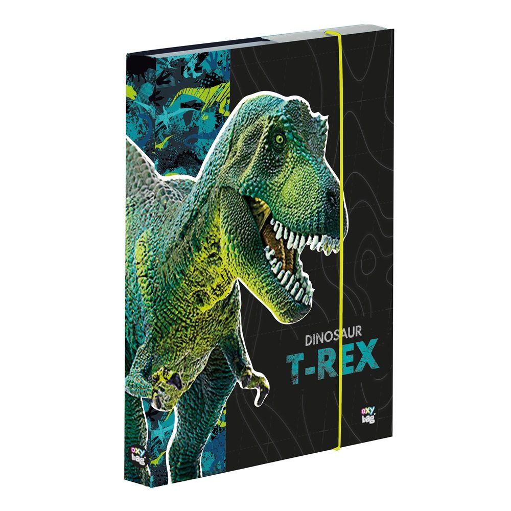 Levně Karton P+P Box na sešity A5 Premium Dinosaurus