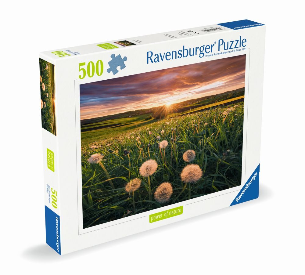 Levně Pampelišky v západu slunce 500 dílků