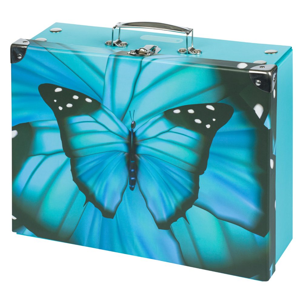 Levně BAAGL Skládací školní kufřík Butterfly s kováním