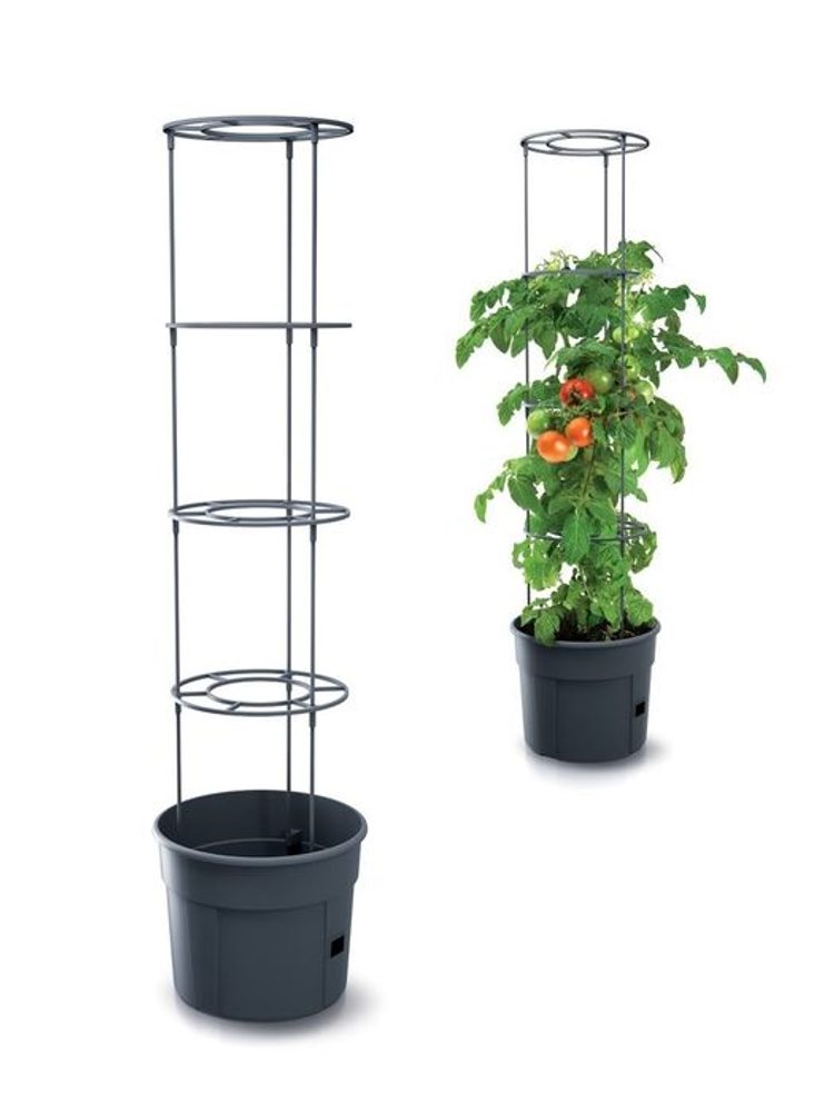 Levně květ. d39,2x31,5cm TOMATO GROWER, na rajčata, antracit