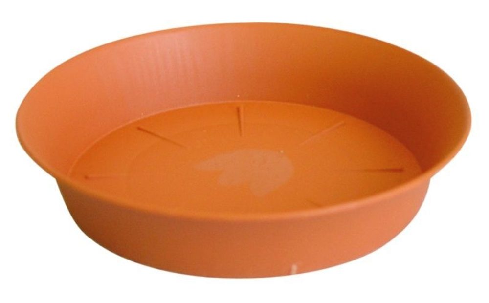 Levně podmiska d14cm TER TULIPÁN