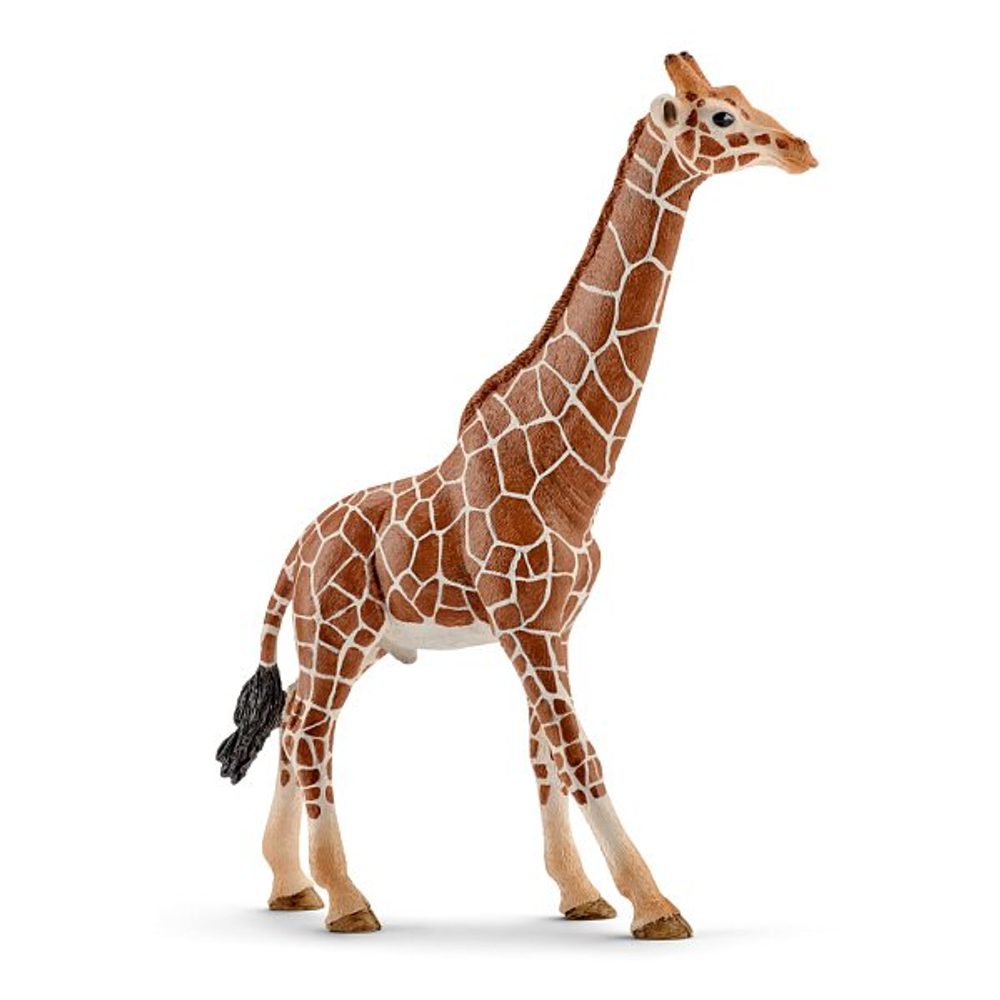 Levně SCHLEICH Zvířátko - samec žirafy