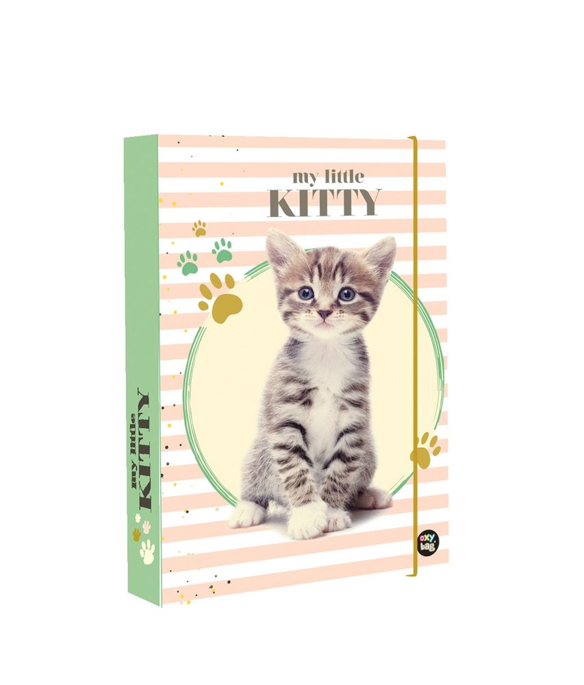 Levně Karton P+P Box na sešity A5 kočka