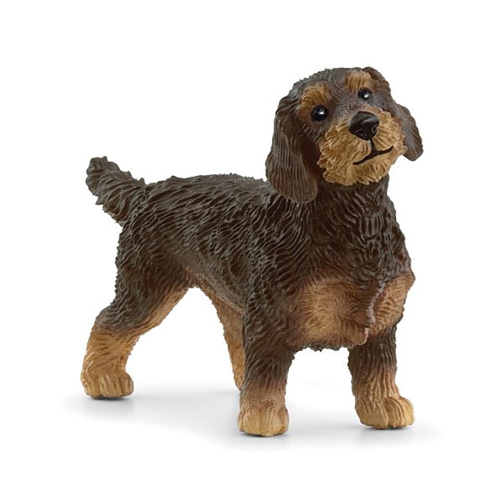 Levně SCHLEICH Zvířátko - hrubosrstý jezevčík