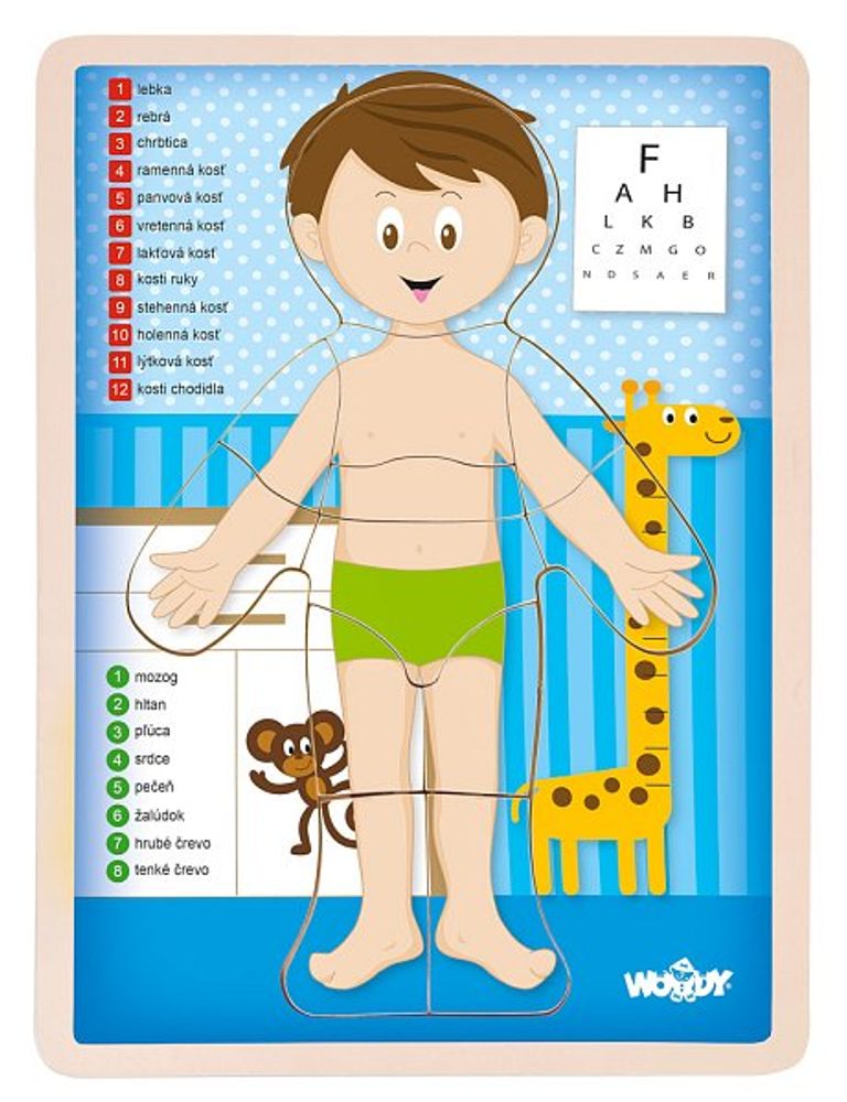 Levně WOODY Puzzle "Lidské tělo" - Kluk SK