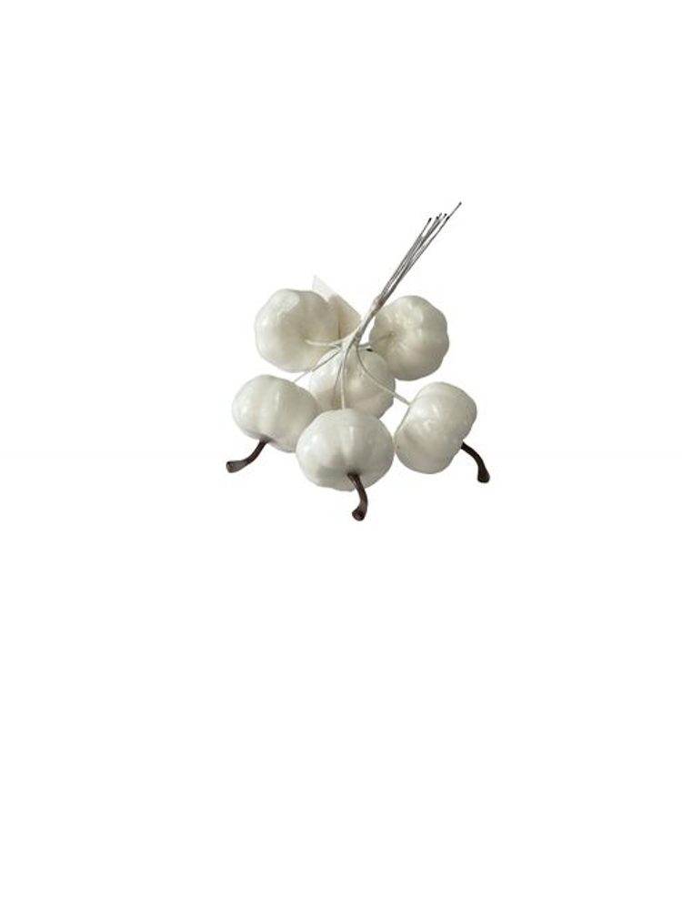 Levně dekorace DÝNĚ bílé svazek se 6ks (d4cm), 10cm, plast