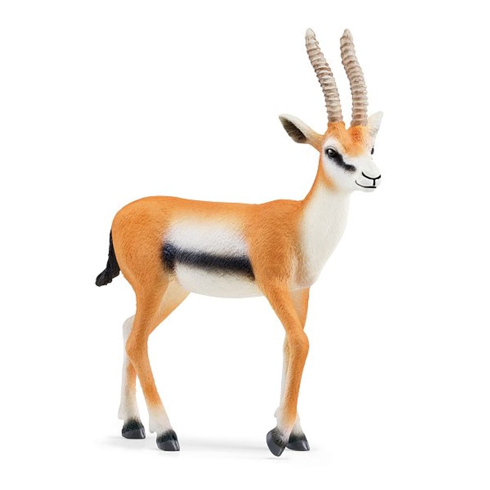 Levně SCHLEICH Zvířátko - Gazela Thomsonova