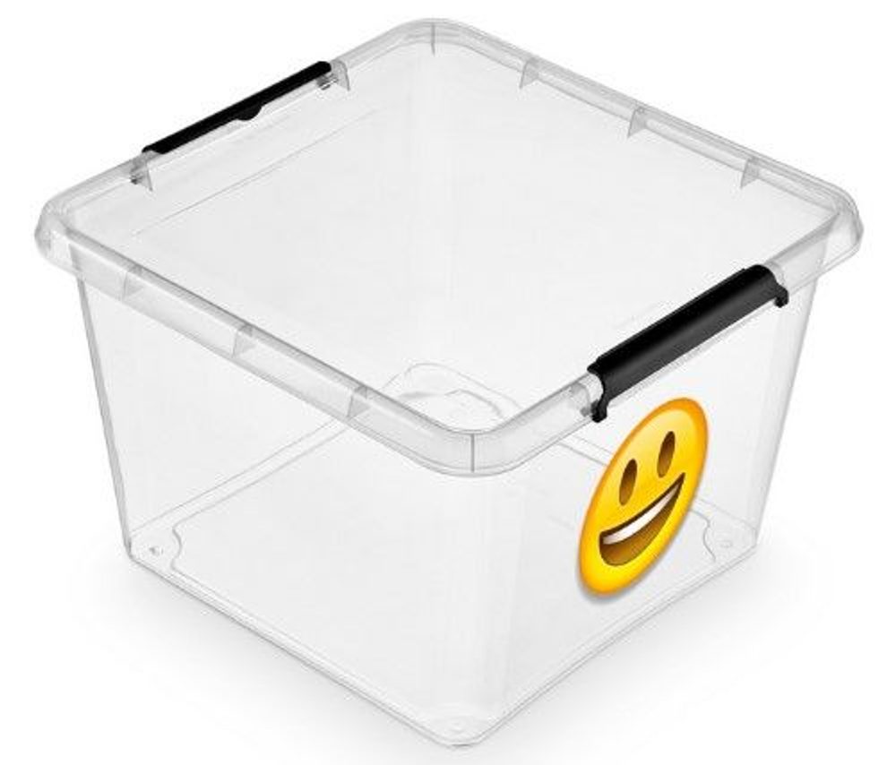 Levně box 32,0l IML-SMAJLÍK-ÚSMĚV, 39x39x26cm, děts., plast