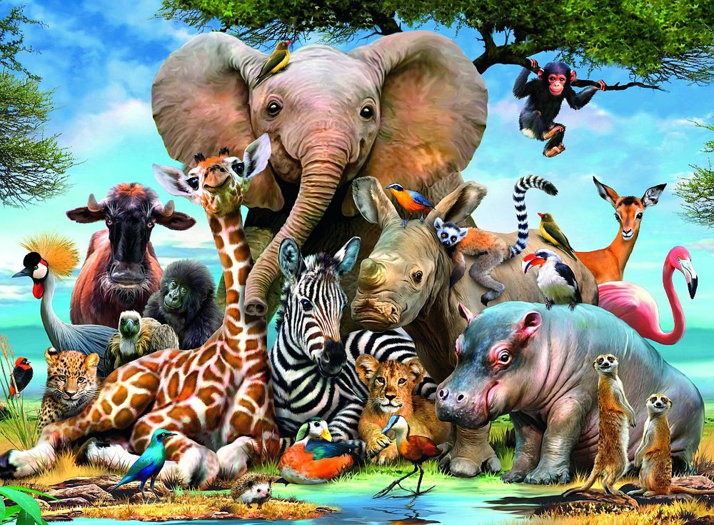 Levně Ravensburger Afričtí přátelé 300d