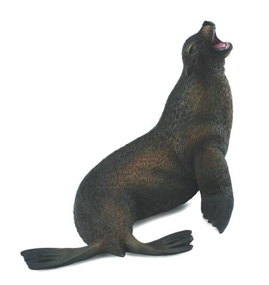 Levně Collecta Lvoun hřívnatý