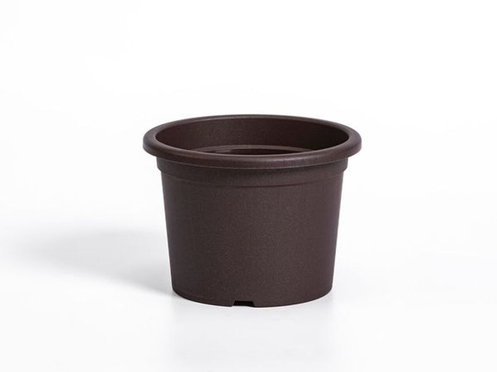 Levně obal d13cm Narcis Čoko