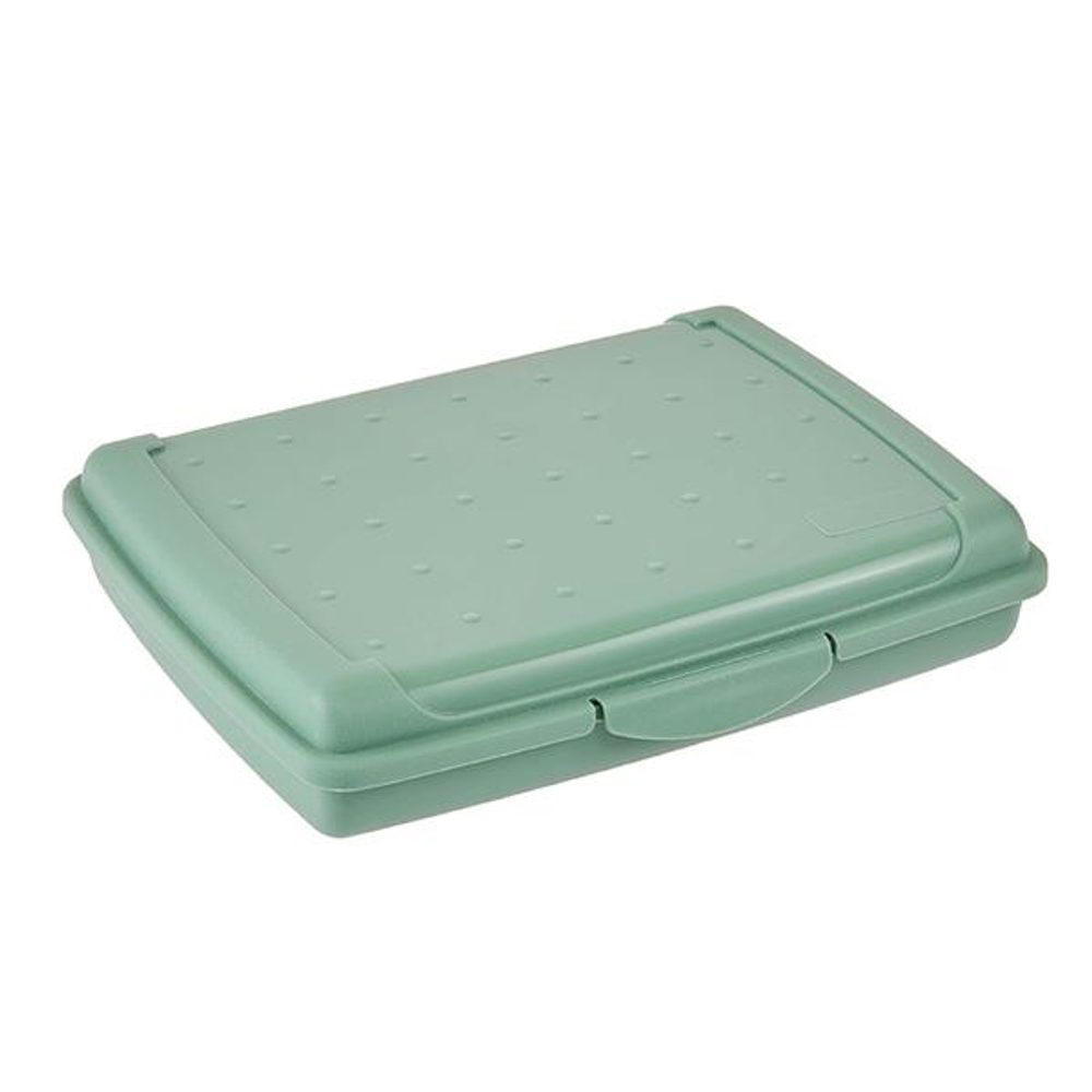 Levně Keeeper SVAČINOVÝ BOX 17X13X3,5 SEVERSKÁ ZELENÁ