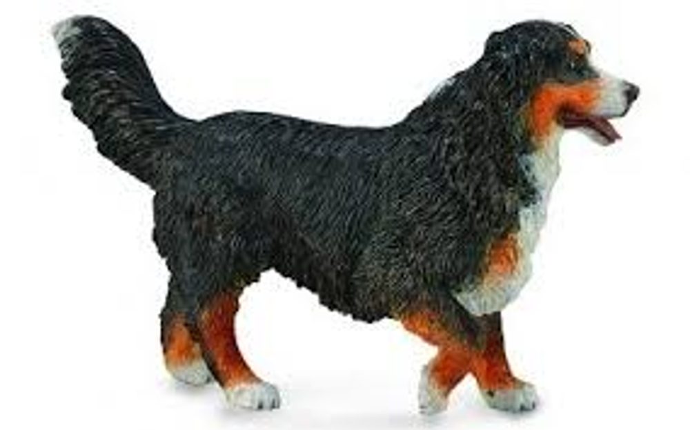Levně COLLECTA Bernský salašnický pes