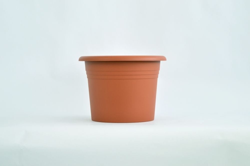 Levně obal d25cm Narcis TER