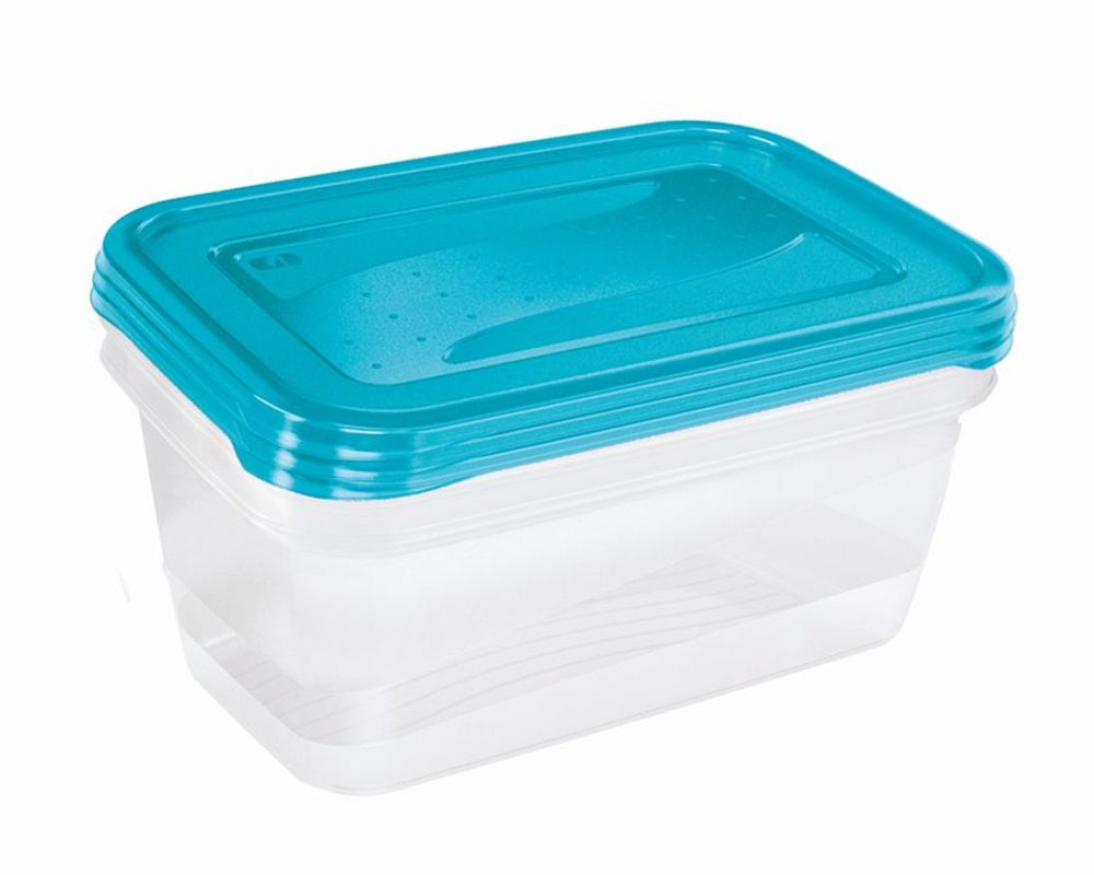 Levně box-sada 3ks, 1,25l FREDO, 20,5x15,5x6,5cm, plast