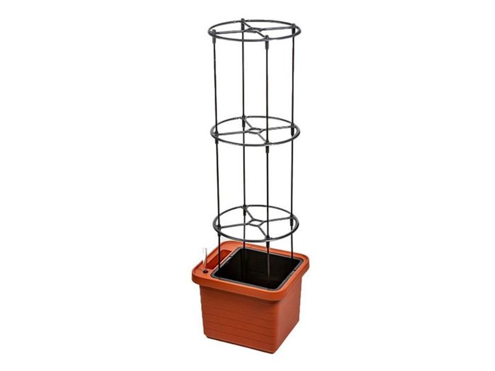 Levně opora d38x132,5cm pro pěstování, Berberis, regen.plast