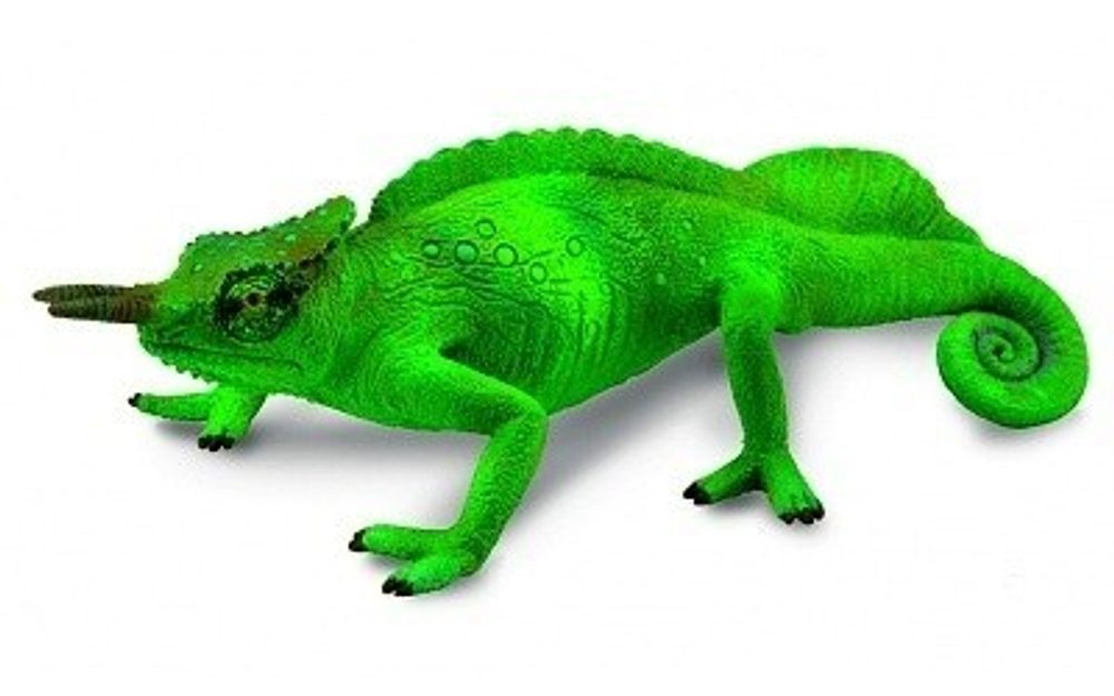 Levně Kamerunská chameleon dvourohý