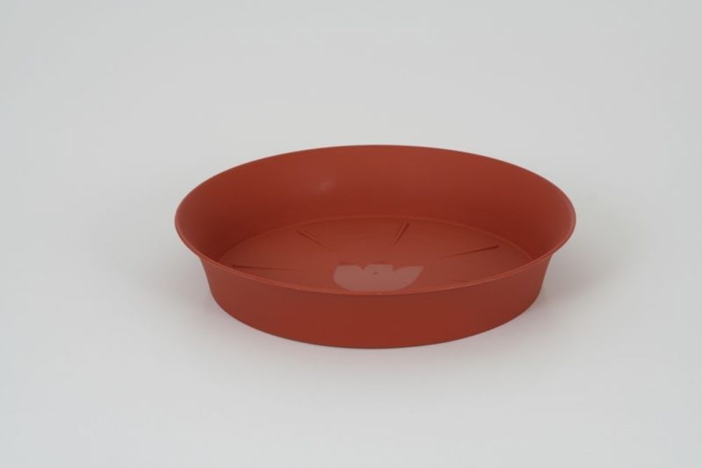 Levně podmiska d45cm TER TULIPÁN