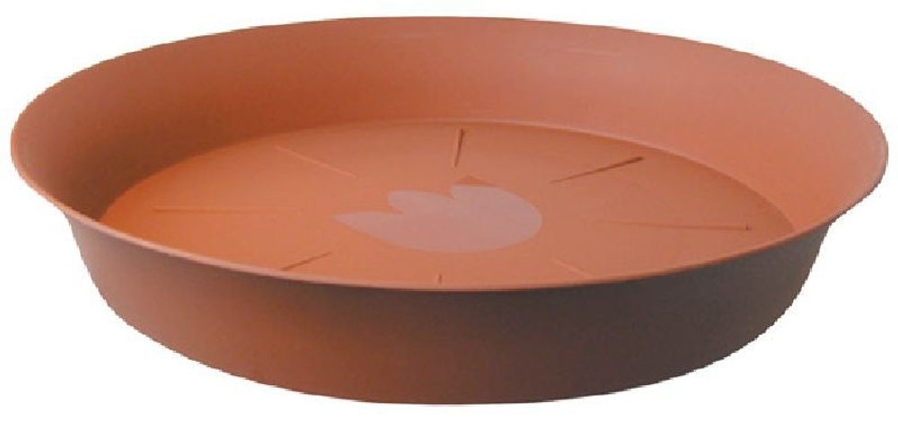 Levně podmiska d12cm TER TULIPÁN